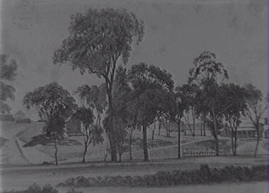 Negative - Sketch - Rural Property, Allan Doney, 1950 -1970