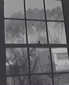 Negative - Gum Tree Pruning - Through Window, Allan Doney, 1950 -1970