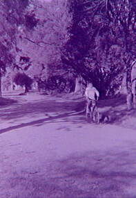 Negative - Lake Weeroona Bendigo Area, Allan Doney, 1950 -1970