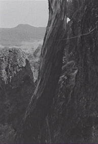 Negative - Hanging Rock, Allan Doney, 1950 -1970