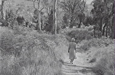 Negative - Hanging Rock, Allan Doney, 1950 -1970