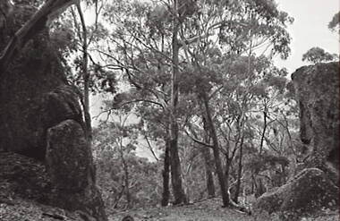 Negative - Shepherds Flat - Rocky Hills - Trees, Allan Doney, 1950 -1970