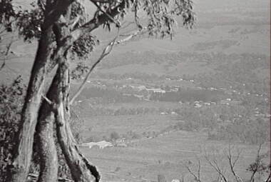 Negative - Mount Alexander - Rural Scene - Housing - Trees, Allan Doney, 1950 -1970
