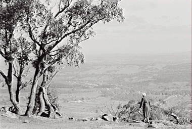 Negative - Mount Alexander - Rural Scene - Housing - Trees - Mrs Doney, Allan Doney, 1950 -1970