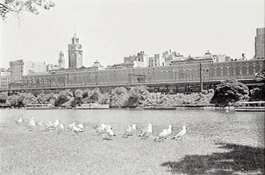 Negative - Melbourne - Yarra - Buildings - Flinder's Street Station - Boats, Allan Doney, 1950 -1970