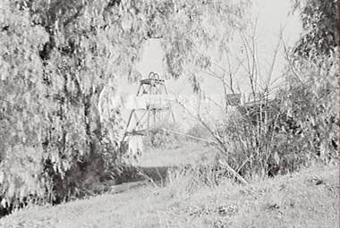 Negative - Happy Valley Bendigo - Trees - Poppet Head - House, Allan Doney, 1950 -1970