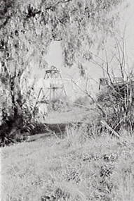 Negative - Happy Valley Bendigo - Trees - Poppet Head - House, Allan Doney, 1950 -1970
