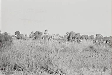 Negative - Happy Valley Bendigo - Poppet Head - Sand Hills, Allan Doney, 1950 -1970