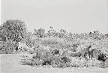 Negative - Happy Valley Bendigo - Poppet Head - Mullock Heaps, Allan Doney, 1950 -1970