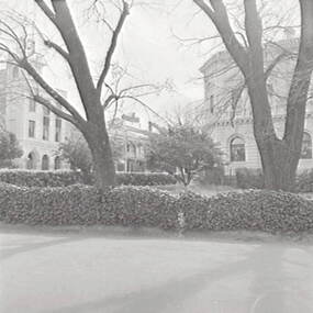 Negative - Rosalind Park Bendigo - View Street Bendigo, Allan Doney, 1950 -1970