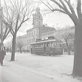 Negative - McCrae Street Bendigo - School of Mines Bendigo - Tram, Allan Doney, 1950 -1970