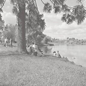 Negative - Camera Club Outing - Lake Weeroona Bendigo - People, Allan Doney, 1950 -1970