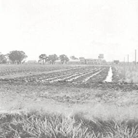 Negative - Merrigum - Ploughed Paddock - Factory, Allan Doney, 1950 -1970
