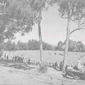 Negative - Maldon - Sports - Oval, Allan Doney, 1950 -1970