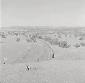 Negative - Big Hill - Train - Tunnel, Allan Doney, 1950 -1970