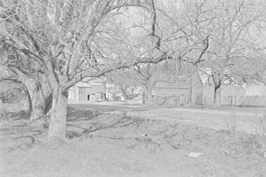 Negative - Maldon - Street - Trees - Buildings, Allan Doney, 1950 -1970