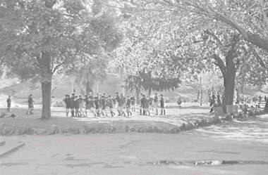 Negative - Rosalind Park Bendigo - School Children, Allan Doney, 1950 -1970