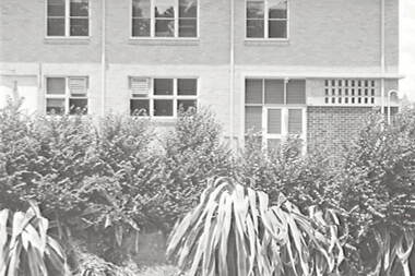 Negative - Bendigo Creek - Telegraph Office - Post Office, Allan Doney, 1950 -1970