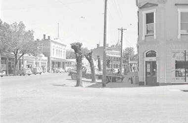 Negative - High Street Bendigo - Businesses - Campbell and Connelly, Allan Doney, 1950 -1970