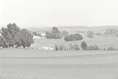 Negative - Daylesford - Farm - House, Allan Doney, 1950 -1970