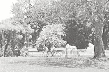 Negative - Ballarat - Gardens - Statues - Lions, Allan Doney, 1950 -1970