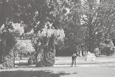 Negative - Ballarat - Gardens - Statues - Lions, Allan Doney, 1950 -1970
