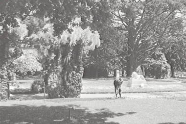 Negative - Ballarat - Gardens - Statues - House, Allan Doney, 1950 -1970