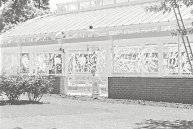 Negative - Ballarat - Conservatory, Allan Doney, 1950 -1970