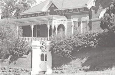 Negative - Iron Lacework - Verandah - House - Gate Insert - Face, Allan Doney, 1950 -1970