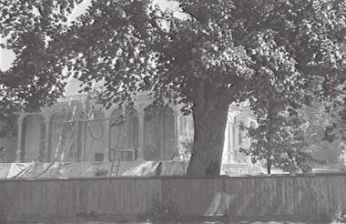 Negative - Iron Lacework - Geelong - Corio Villa - Painting, Allan Doney, 1950 -1970