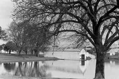 Negative - Lake Weeroona Bendigo - Boat Shed, Allan Doney, 1950 -1970