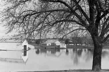 Negative - Lake Weeroona Bendigo - Boat Shed, Allan Doney, 1950 -1970