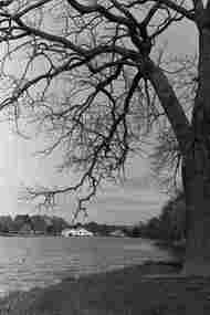 Negative - Lake Weeroona Bendigo - Boat Shed, Allan Doney, 1950 -1970