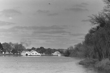 Negative - Lake Weeroona Bendigo - Boat Shed, Allan Doney, 1950 -1970