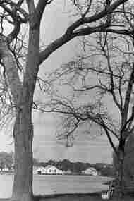 Negative - Lake Weeroona Bendigo - Boat Shed, Allan Doney, 1950 -1970