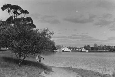 Negative - Lake Weeroona Bendigo - Boat Shed, Allan Doney, 1950 -1970