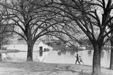 Negative - Lake Weeroona Bendigo - Boat Shed, Allan Doney, 1950 -1970