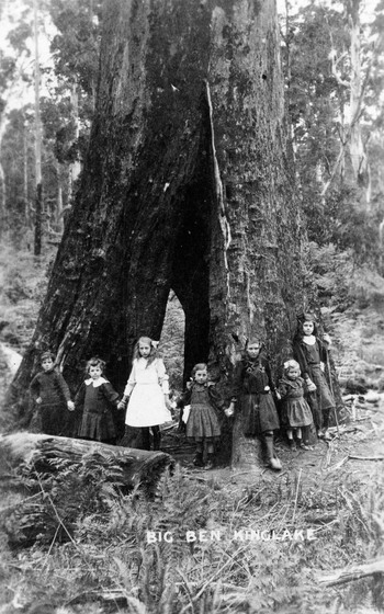Six young girls and one boy join outstretched arms around the base of a very large tree