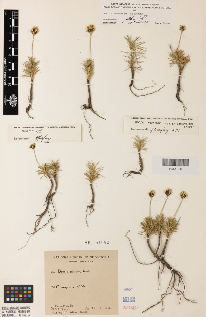Royal Botanic Gardens and National Herbarium of Victoria, Australia, Map,  & History