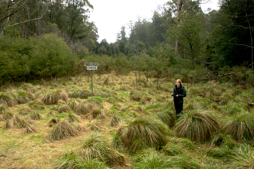Woman standing in a field