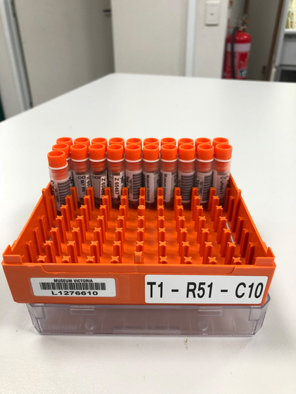 Vials sitting in orange tray