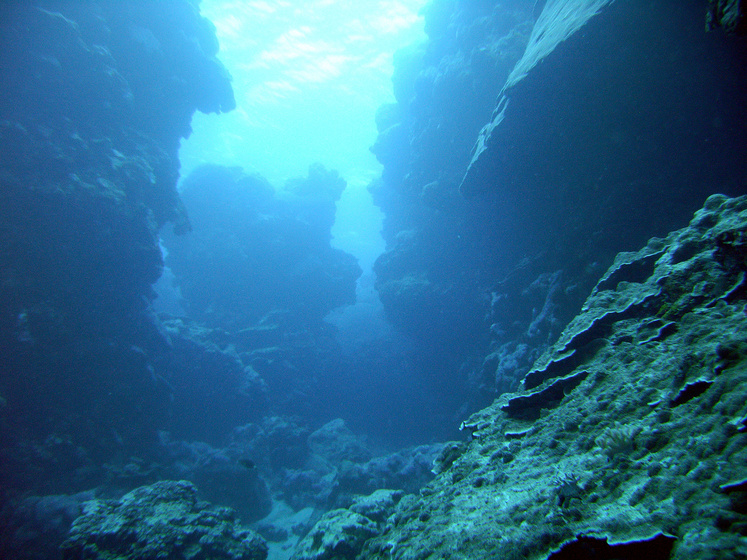 Underwater reef