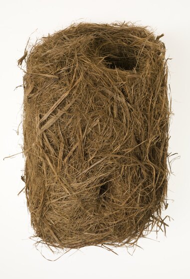 Nest