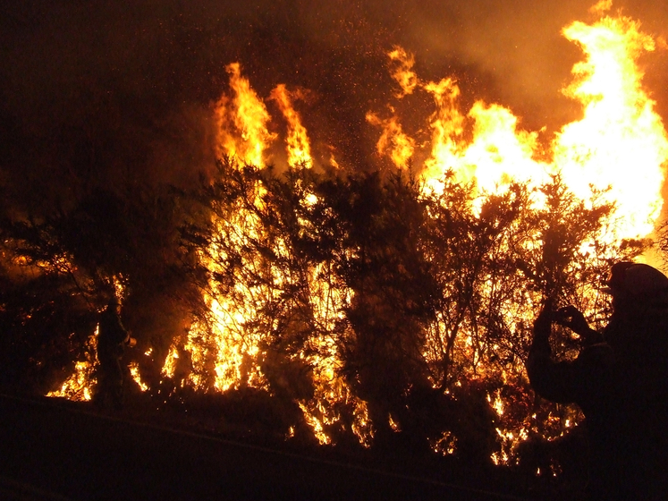 Fire