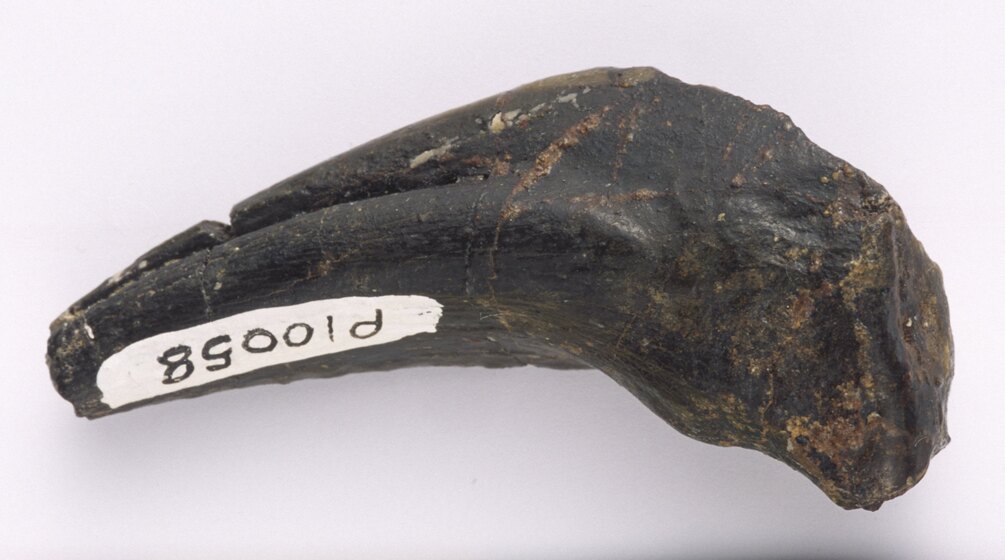 Rock specimen