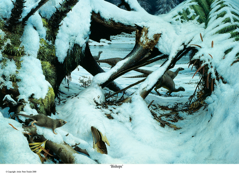 Snow on some branches with small animals