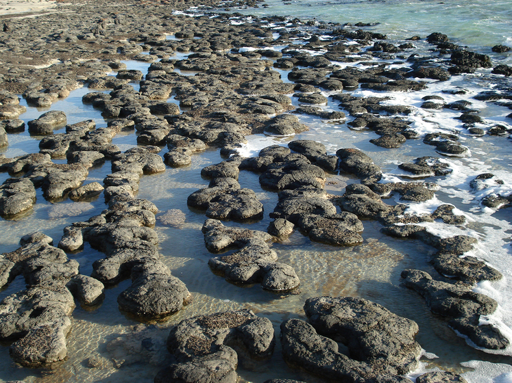 Rock pool on shoreline