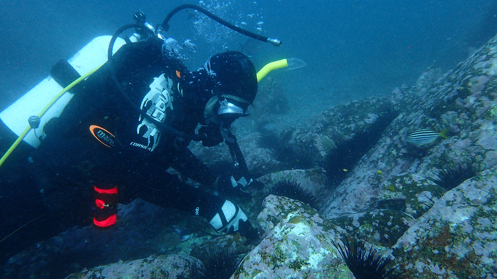 Divers on a reef