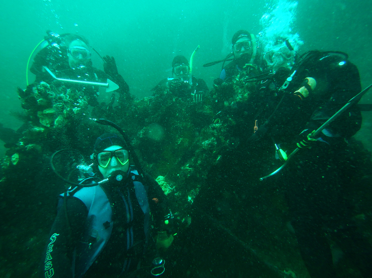 Several divers on a reef