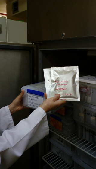 Person holding a sealed bag